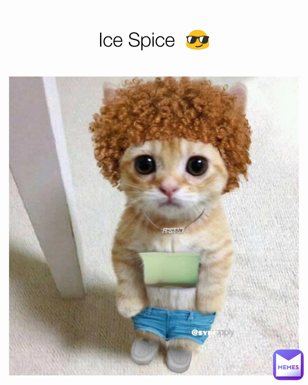 Kitten photoshopped with reddish-brown afro wig and crop top styled as Ice Spice.