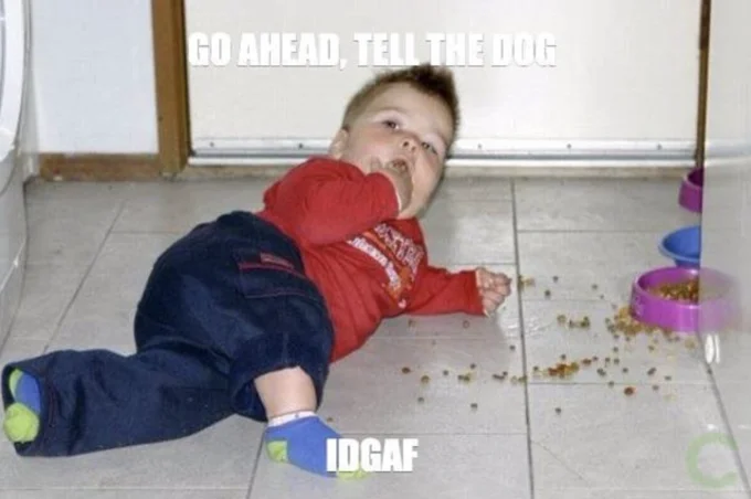 Photo of toddler on kitchen floor with text 'GO AHEAD, TELL THE DOG' and 'IDGAF'.