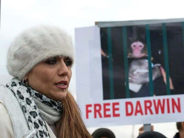 IKEA Monkey — Yasmin Nakhuda beside a Free Darwin protest sign showing a caged monkey