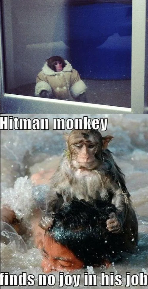 Two-panel meme with IKEA Monkey and a drowning victim captioned Hitman monkey finds no joy in his job