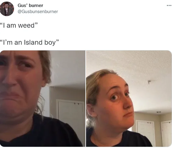 Im An Island Boy By Flyysoulja And Kodiyakredd The Island Boys — Tweet contrasting 'I am weed' with 'I'm an Island boy' using two woman reaction photos.