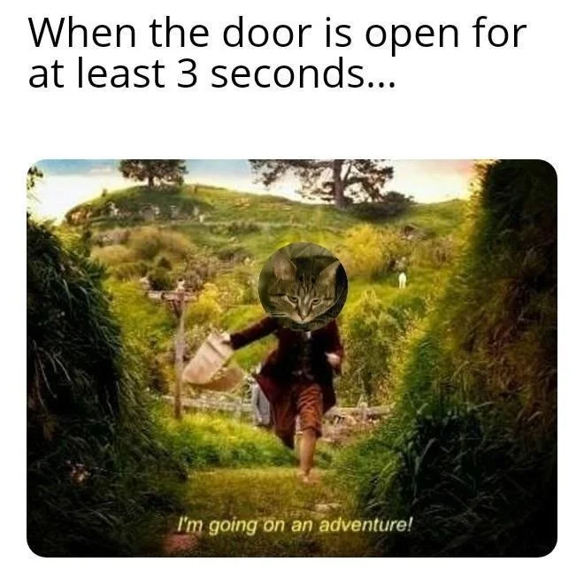 I'm Going On An Adventure! — Cat-headed Bilbo running through Shire captioned about open doors and adventure