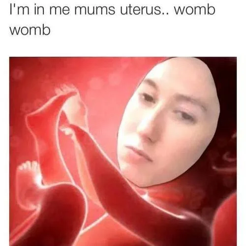 I'm in Me Mum's Car, Broom Broom — Meme of Tish's face on a fetus in the womb with the caption 'I'm in me mums uterus.. womb womb'.