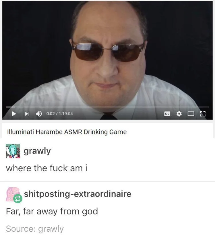 I'm in That Weird Part of YouTube — Tumblr screenshot of an Illuminati Harambe ASMR YouTube video with the caption where the fuck am i