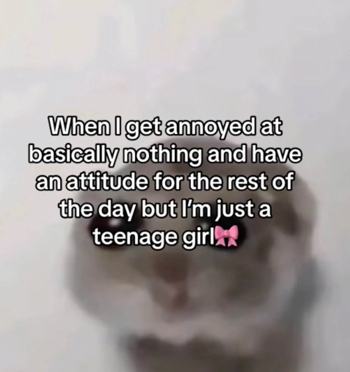 I'm Just a Girl — A wide-eyed creature with a pink bow expressing annoyance with text 'When I get annoyed at basically nothing and have an attitude for the