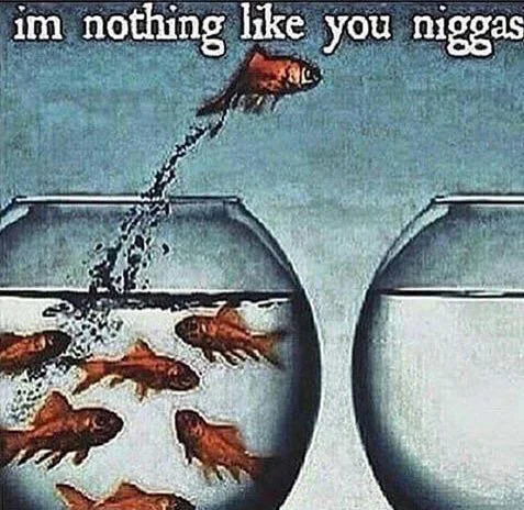 I'm Nothing Like Y'all — Early meme version with 'im nothing like you niggas' text over the fishbowl escape image.