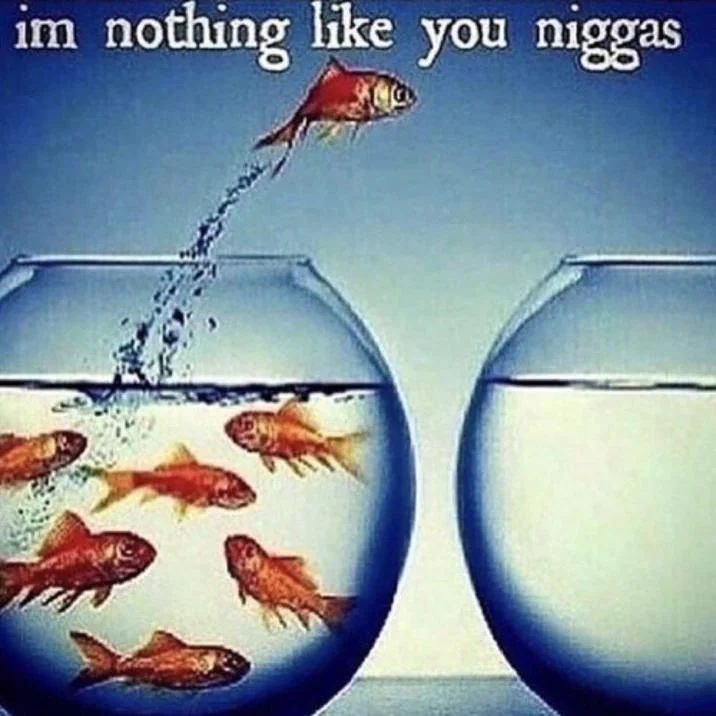 I'm Nothing Like Y'all — Higher resolution early meme version with uncensored text and vibrant orange goldfish.