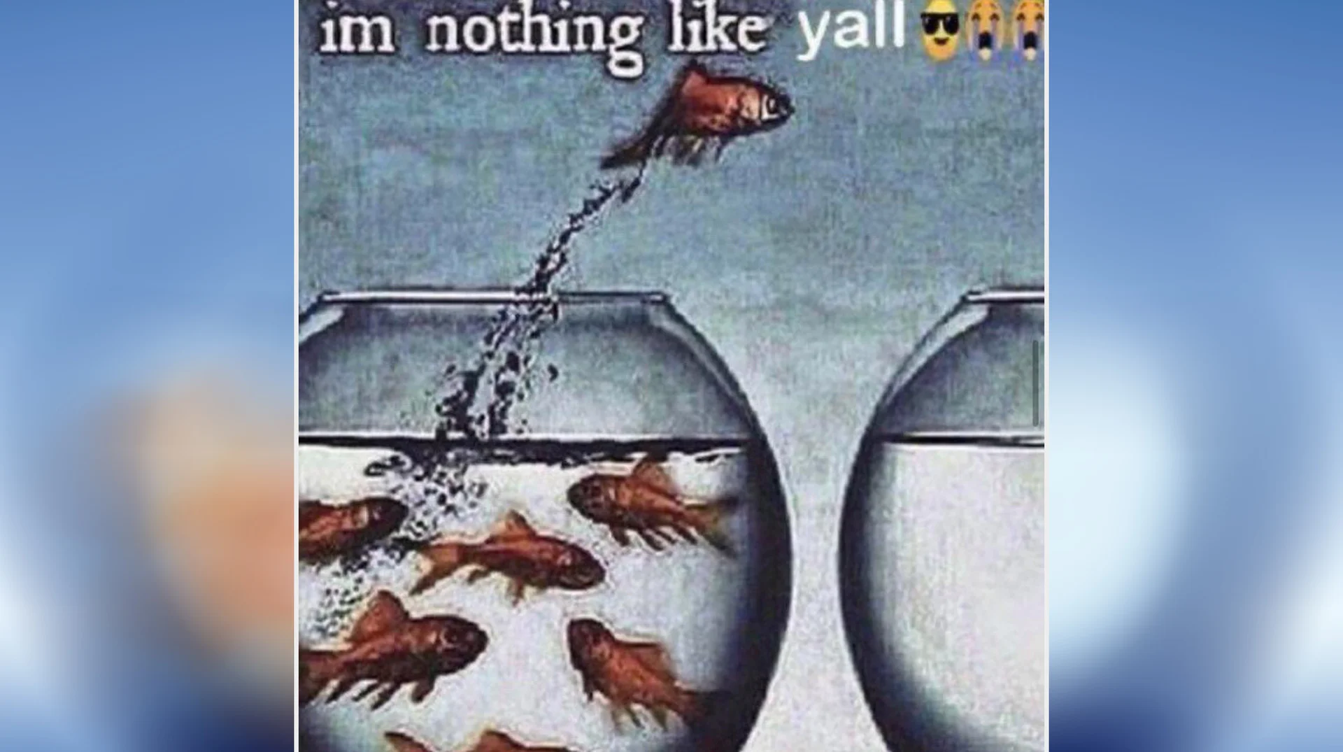 I'm Nothing Like Y'all — Fish leaping from a crowded fishbowl to an empty one with the text 'im nothing like yall' and emojis above.