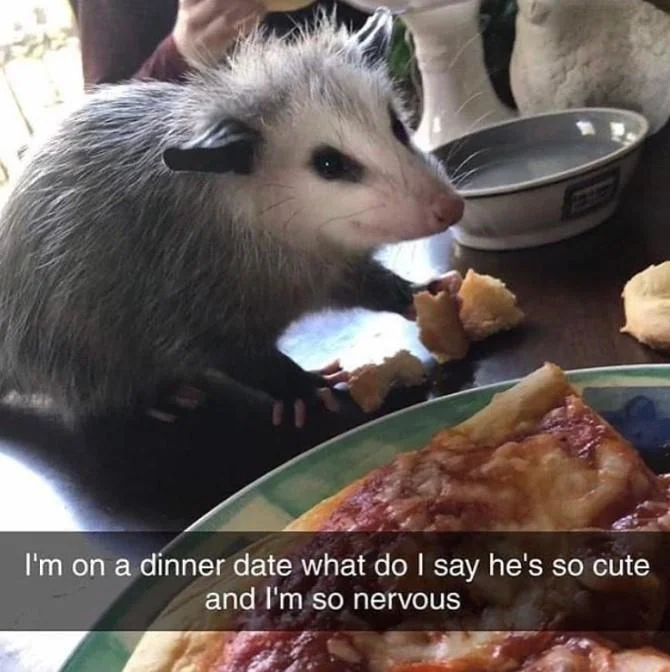 I'm On a Dinner Date What Do I Say He's So Cute — Tweet showing M'lady fedora-tipping pillow at a table with pizza and Mountain Dew