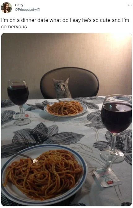 I'm On a Dinner Date What Do I Say He's So Cute — Tweet showing grey cat across dinner table with spaghetti and wine, captioned about nervous dinner date