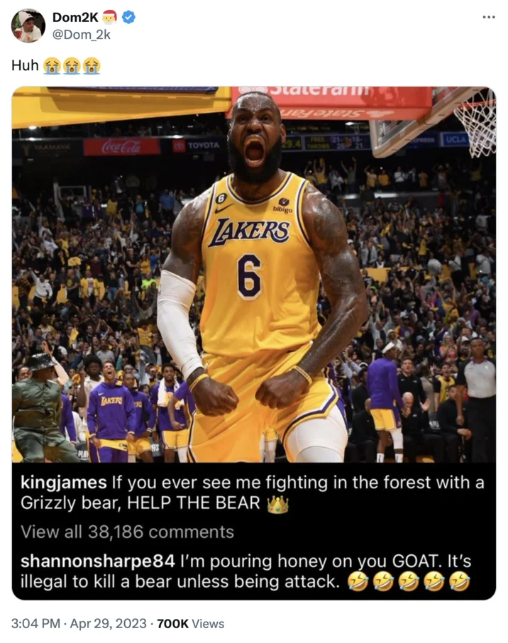 I'm Pouring Honey on You GOAT — Instagram screenshot of LeBron James flexing with Shannon Sharpe's honey comment