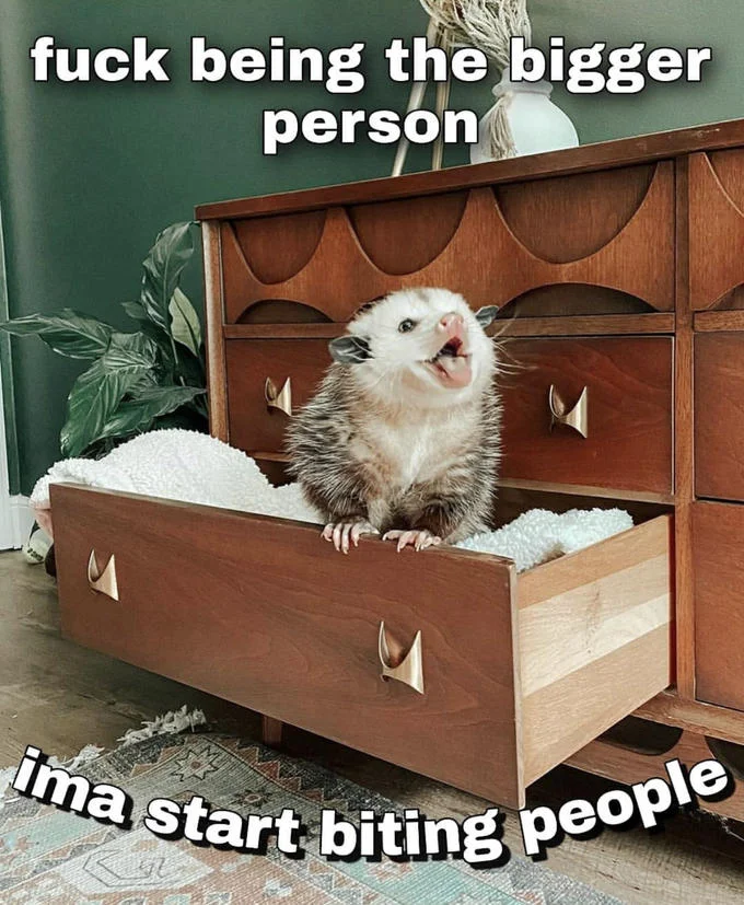 I'mma Start Biting People — Opossum hissing inside an open dresser drawer with the biting people meme caption