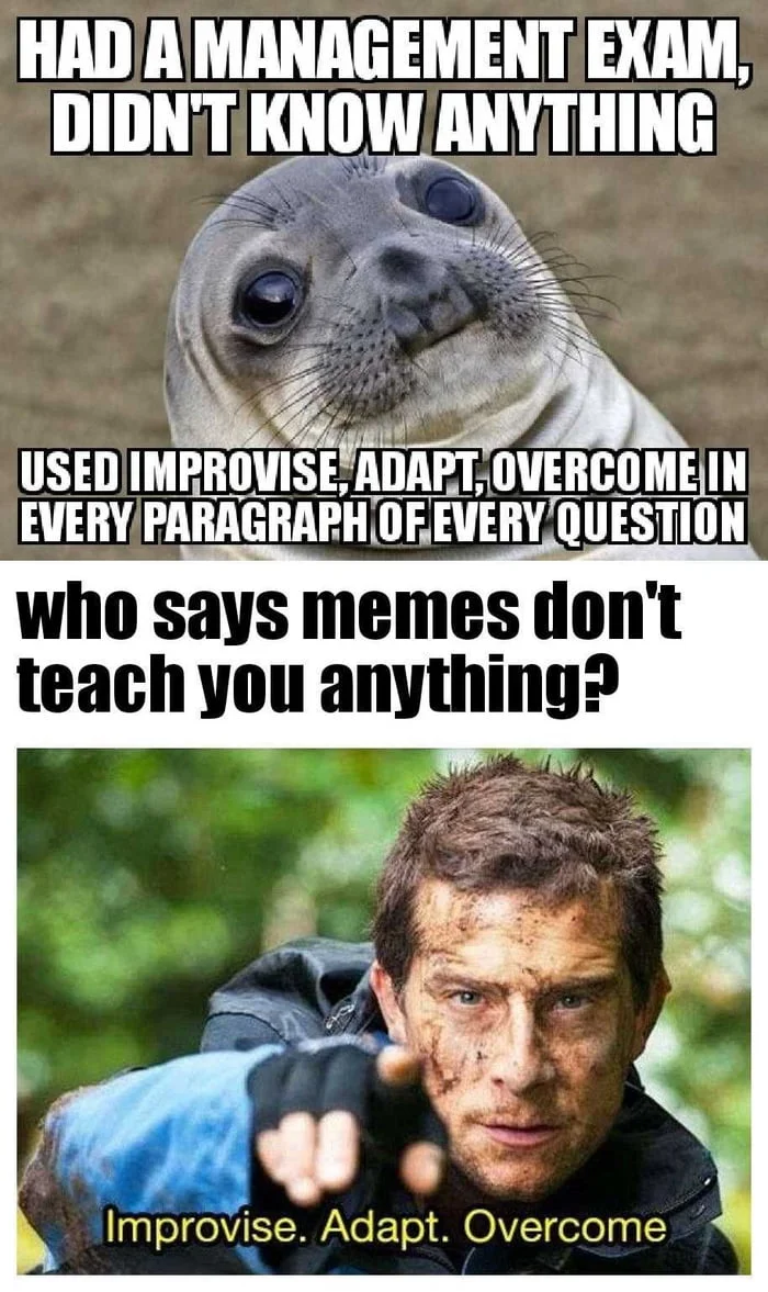 Improvise Adapt Overcome — Three-part collage combining seal face, text caption about exam preparation, and survival expert image.