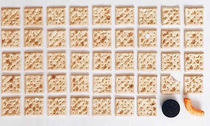 In a Nutshell — Grid of saltine crackers with one Oreo and cheese puffs for contrast