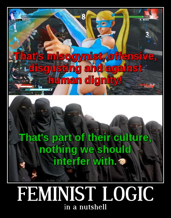 In a Nutshell — Feminist Logic demotivational poster with contrasting images