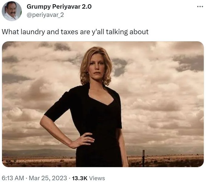 In Another Life, I Would Have Really Liked Just Doing Laundry and Taxes With You — Tweet by @periyavar_2 captioned 'What laundry and taxes are y'all talking