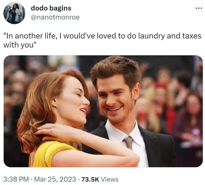 In Another Life, I Would Have Really Liked Just Doing Laundry and Taxes With You — Tweet by @nanotmonroe quoting the laundry-and-taxes line over a photo of