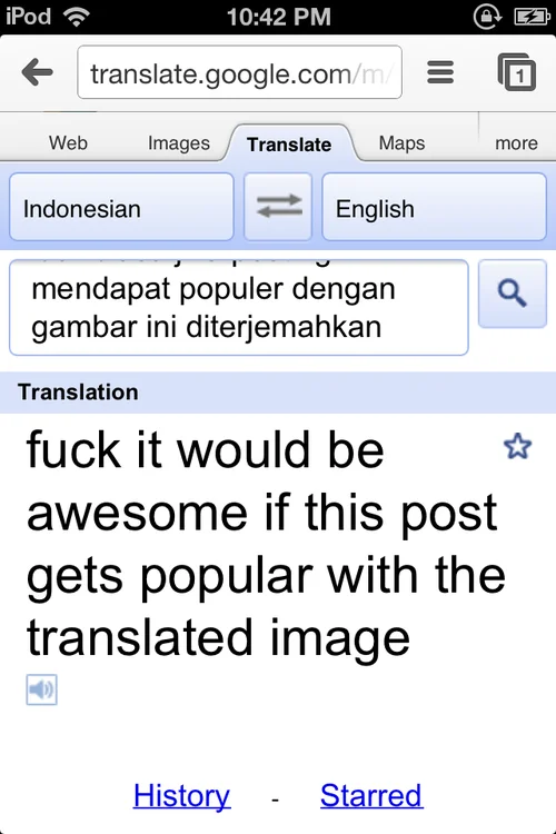 In France, They Don't Say "I Love You" — Google Translate screenshot on an iPod showing an Indonesian-to-English translation about hoping a post goes viral