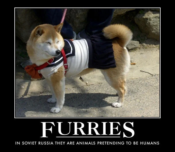 Dog in sailor outfit with In Soviet Russia furries reversal meme text