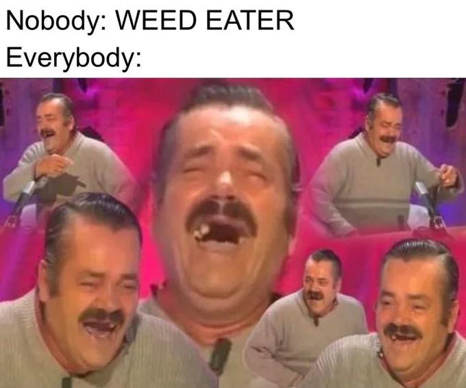 In The Future Entertainment Will Be Randomly Generated Weed Eater — Nobody: WEED EATER Everybody: