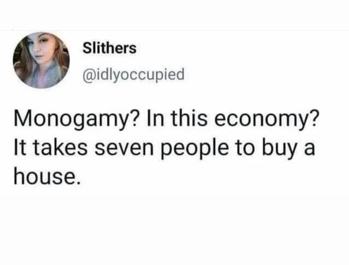 Tweet by Slithers reading 'Monogamy? In this economy? It takes seven people to buy a house.'
