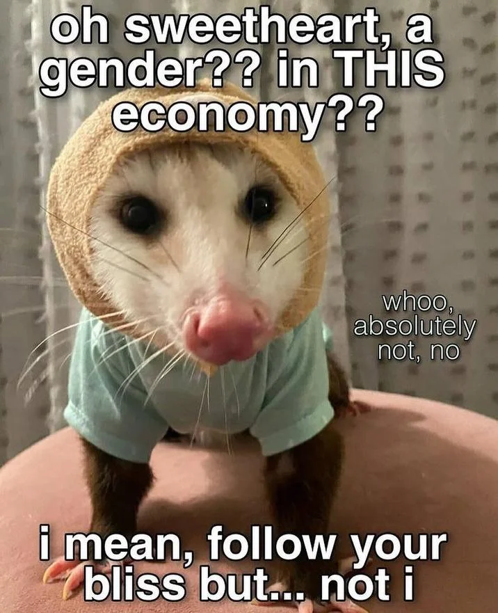 Opossum in a hood and shirt with meme text 'oh sweetheart, a gender?? in THIS economy??'