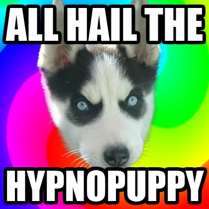 Insanity Puppy on rainbow background with text 'All Hail the Hypnopuppy'