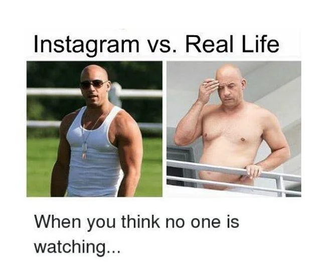 Instagram vs. Reality — Meme comparing a majestic caracal cat labeled Instagram with a snarling Pallas's cat labeled Real Life.
