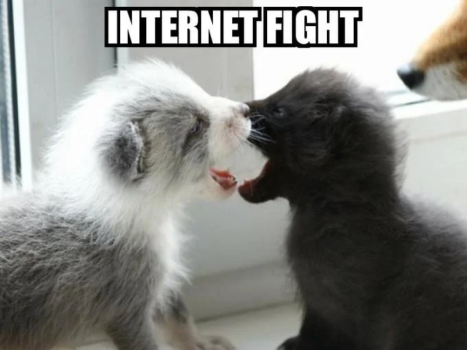 Two kittens play-fighting on a windowsill with 'Internet Fight' caption
