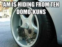 Internet Slang — LOLcat image of kitten in car tire with Impact-style caption 'AM IS HIDING FROM TEH DOMO-KUNS'.
