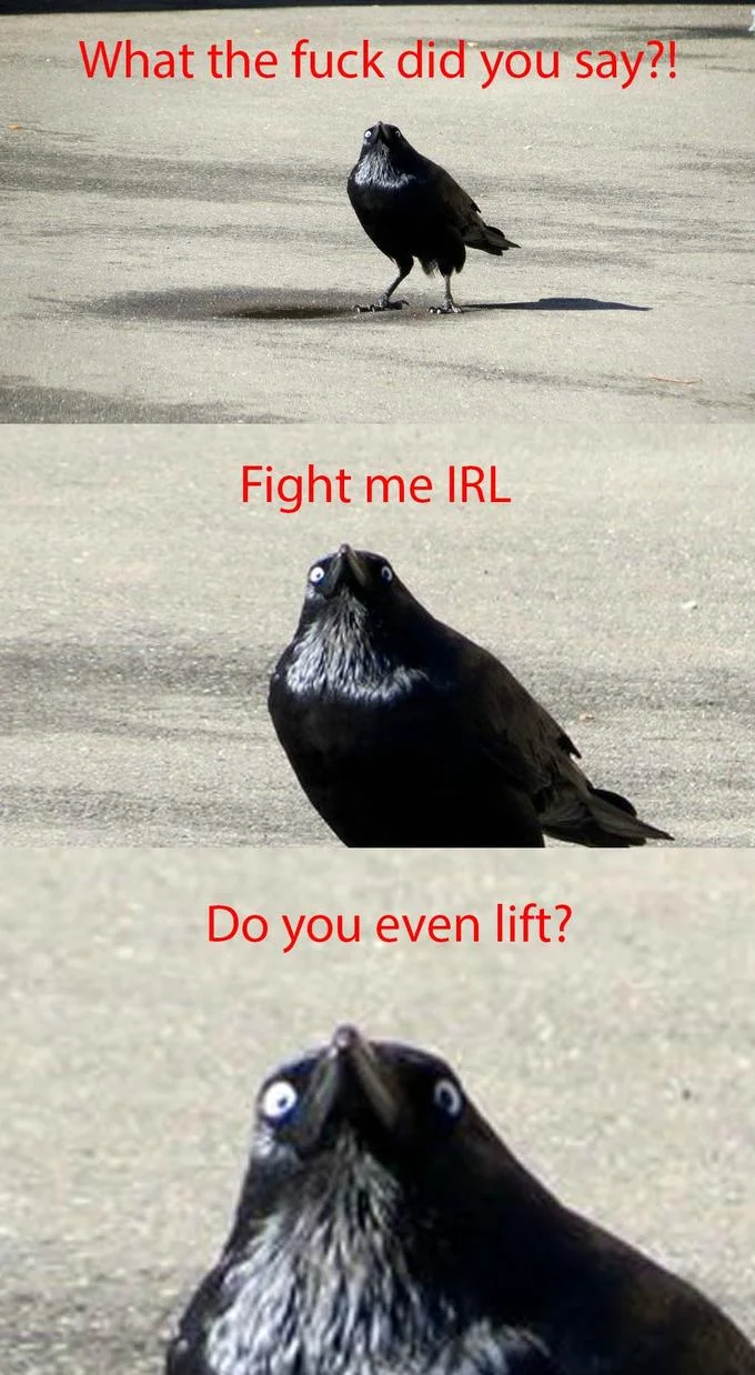 Internet Tough Guy — Three-panel meme of crow with googly eyes escalating through ITG catchphrases in red text.