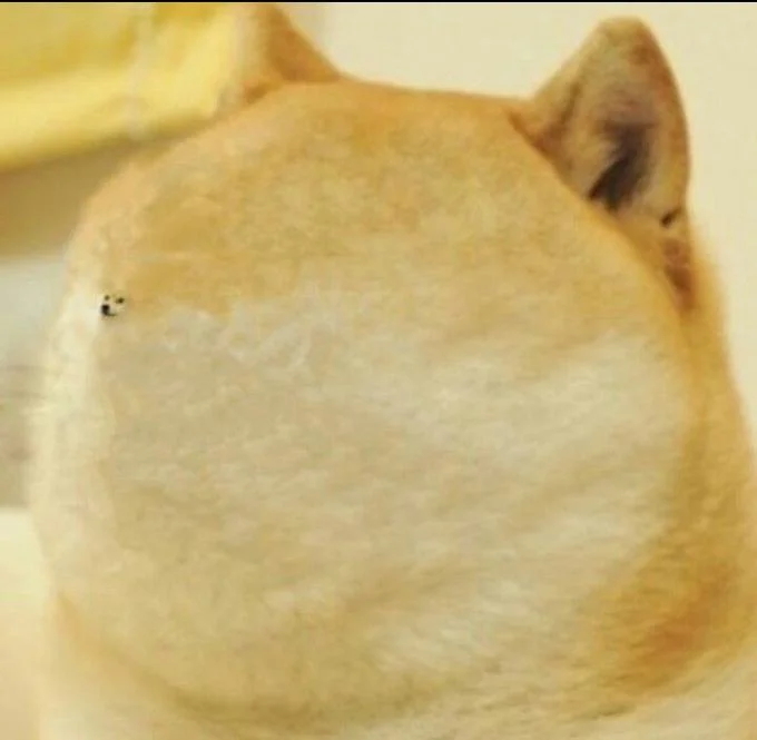 Ironic Doge Memes — Back of Doge's head, an absurd reversed angle of the classic Shiba Inu meme