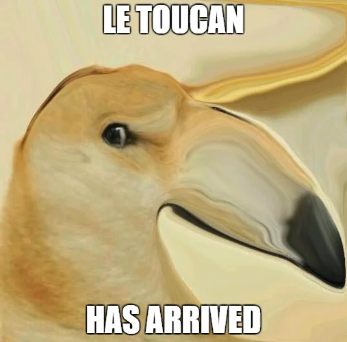 Ironic Doge Memes — Warped Doge meme with stretched toucan beak captioned 'Le Toucan Has Arrived'