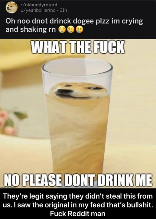 Ironic Doge Memes — Reddit screenshot of ironic Doge meme showing Doge inside a beer glass