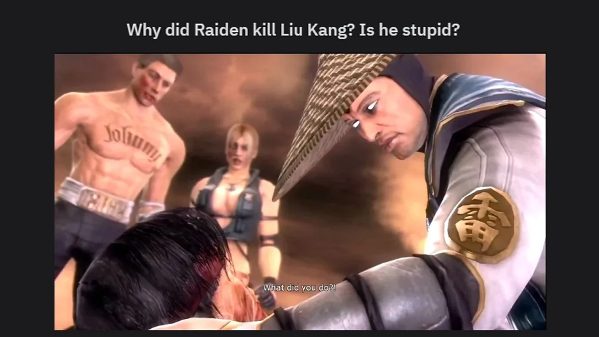 Is He Stupid Is She Smart Are They Stupid — Mortal Kombat scene with Raiden and Liu Kang under the caption 'Why did Raiden kill Liu Kang? Is he stupid?'