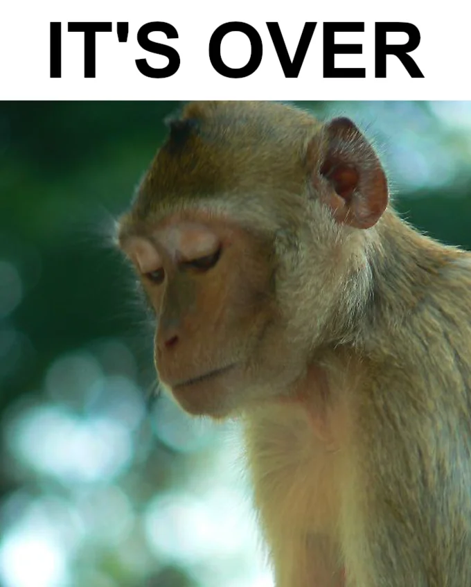 Is It Over — Sad or contemplative monkey with eyes closed captioned 'IT'S OVER' in bold black letters.