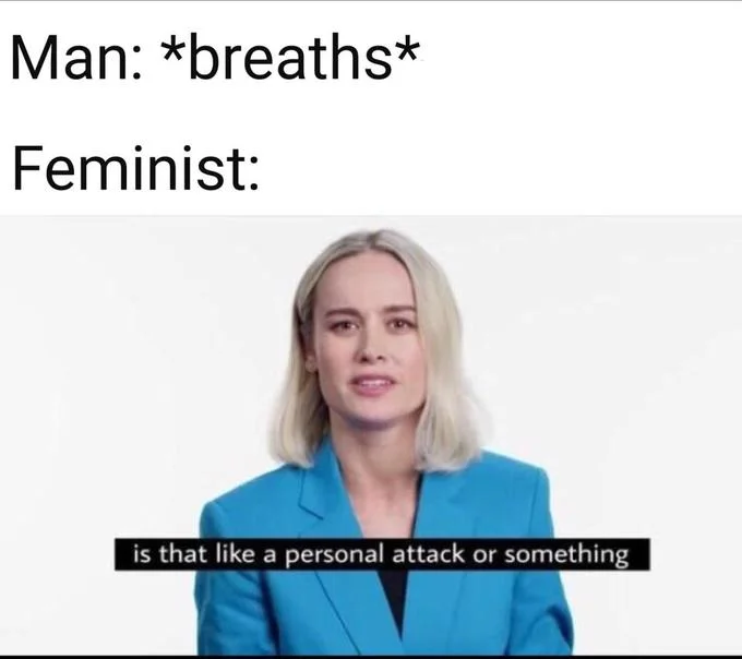 Is That A Personal Attack — Brie Larson meme contrasting two groups with exaggerated defensive reaction text.