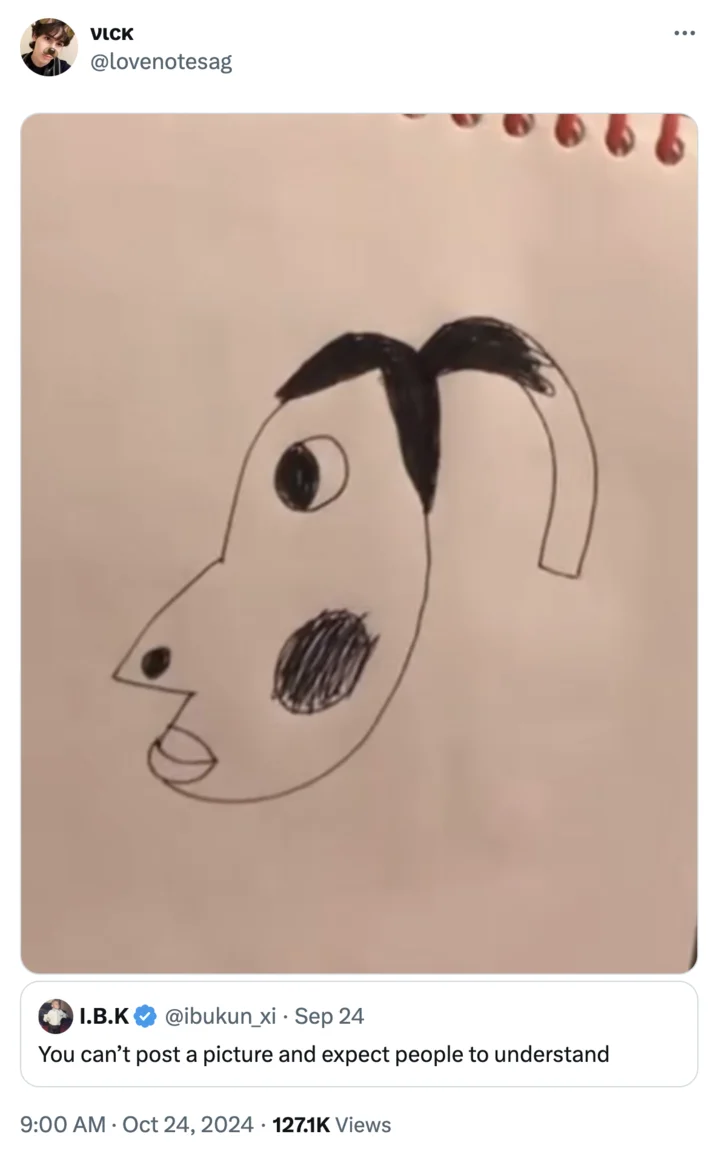 Is That Hyperpigmentation — Screenshot of a Twitter post showing the hand-drawn face sketch alongside the quoted caption 'You can't post a picture and expect