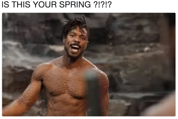 Is This Your King — Killmonger in shirtless battle stance with text overlay 'IS THIS YOUR SPRING ?!?!?'
