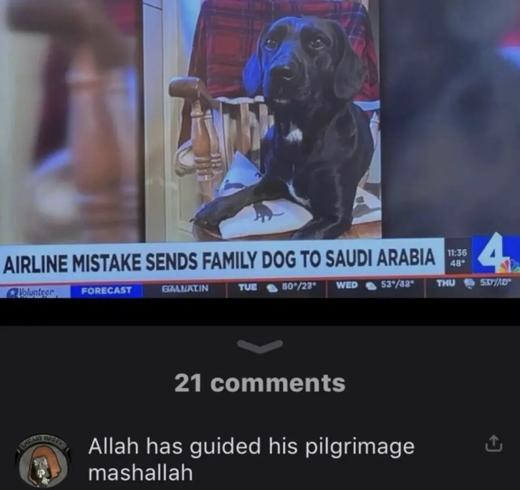 Islam — News chyron about family dog sent to Saudi Arabia with comment joking about a guided pilgrimage