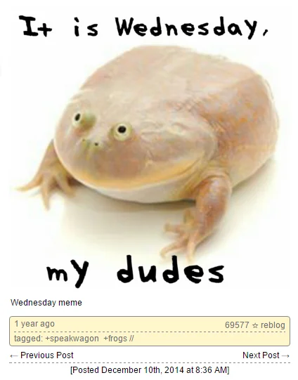 It Is Wednesday My Dudes — Tumblr post screenshot of the Wednesday frog meme with tags and note count