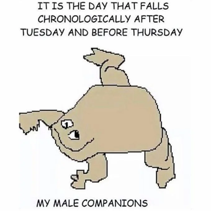 It Is Wednesday My Dudes — Cartoon frog with verbose parody caption describing Wednesday