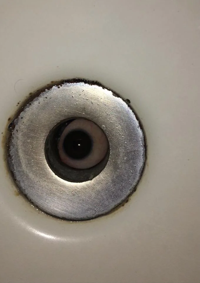 It Lives In My Sink — Overhead view of a sink drain with an eye-shaped object inside