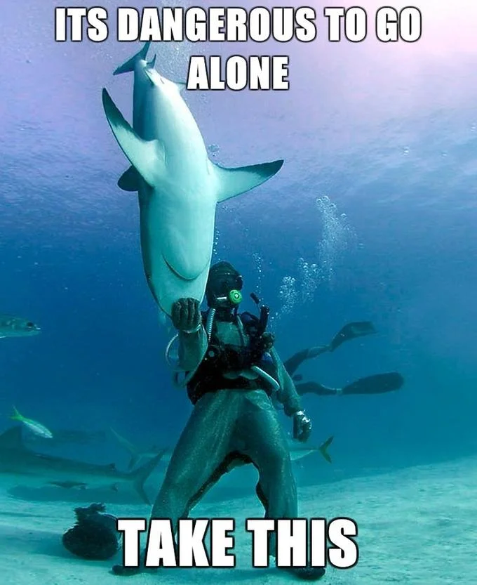 Its Dangerous To Go Alone Take This — Scuba diver holding a shark by its tail underwater with the caption 'It's dangerous to go alone. Take this.'