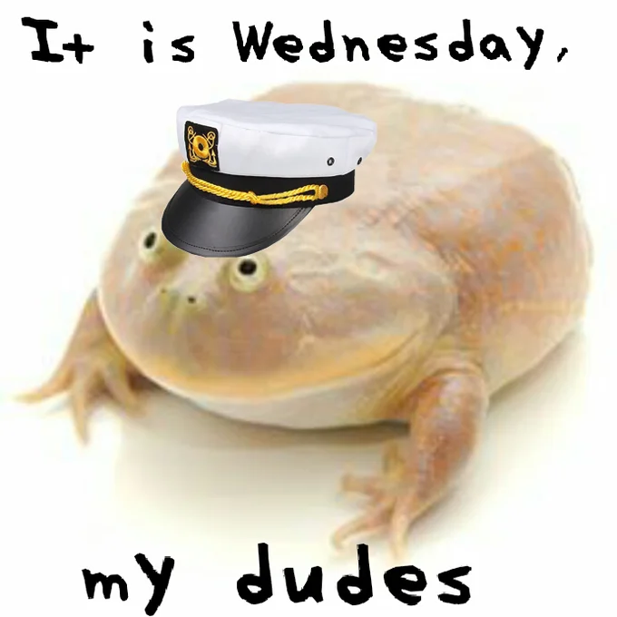 It's Wednesday My Dudes — The Budgett's frog adorned with a white and black captain's hat with text 'It is Wednesday,' and 'my dudes' in traditional layout.