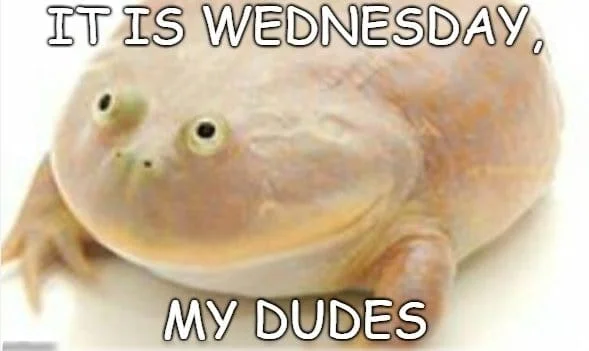It's Wednesday My Dudes — The iconic Budgett's frog with its characteristic gentle smile displayed against a white background with text 'IT IS WEDNESDAY' and