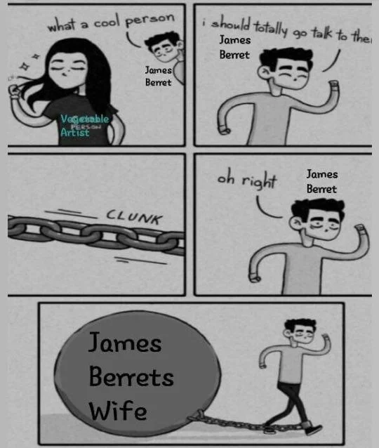 James Barretts Wife — A five-panel black and white comic strip showing the progression from 'what a cool person' through 'CLUNK' to the final reveal of 'James