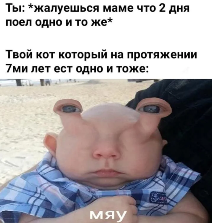 Jank Boteko cat meme variation with Russian text
