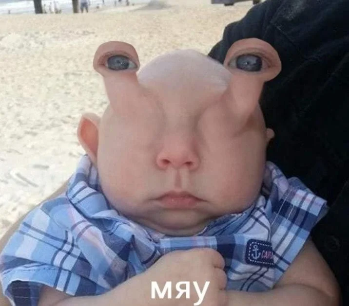 Jank Boteko meme gallery image