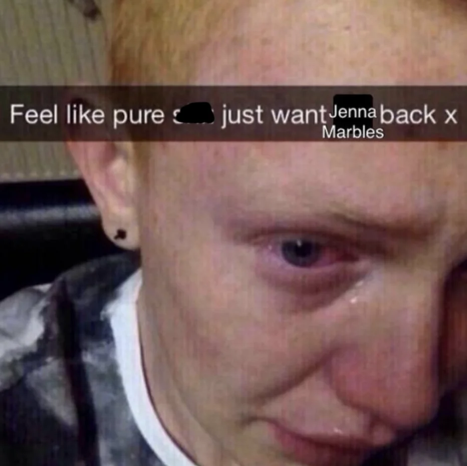 Crying person Snapchat meme captioned 'just want Jenna Marbles back'